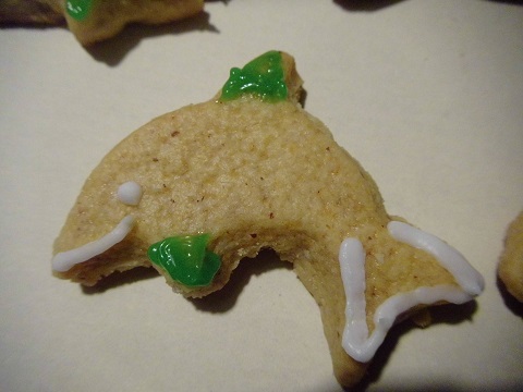 Delfin-Kekse für eine Delfin-Party! © WDC