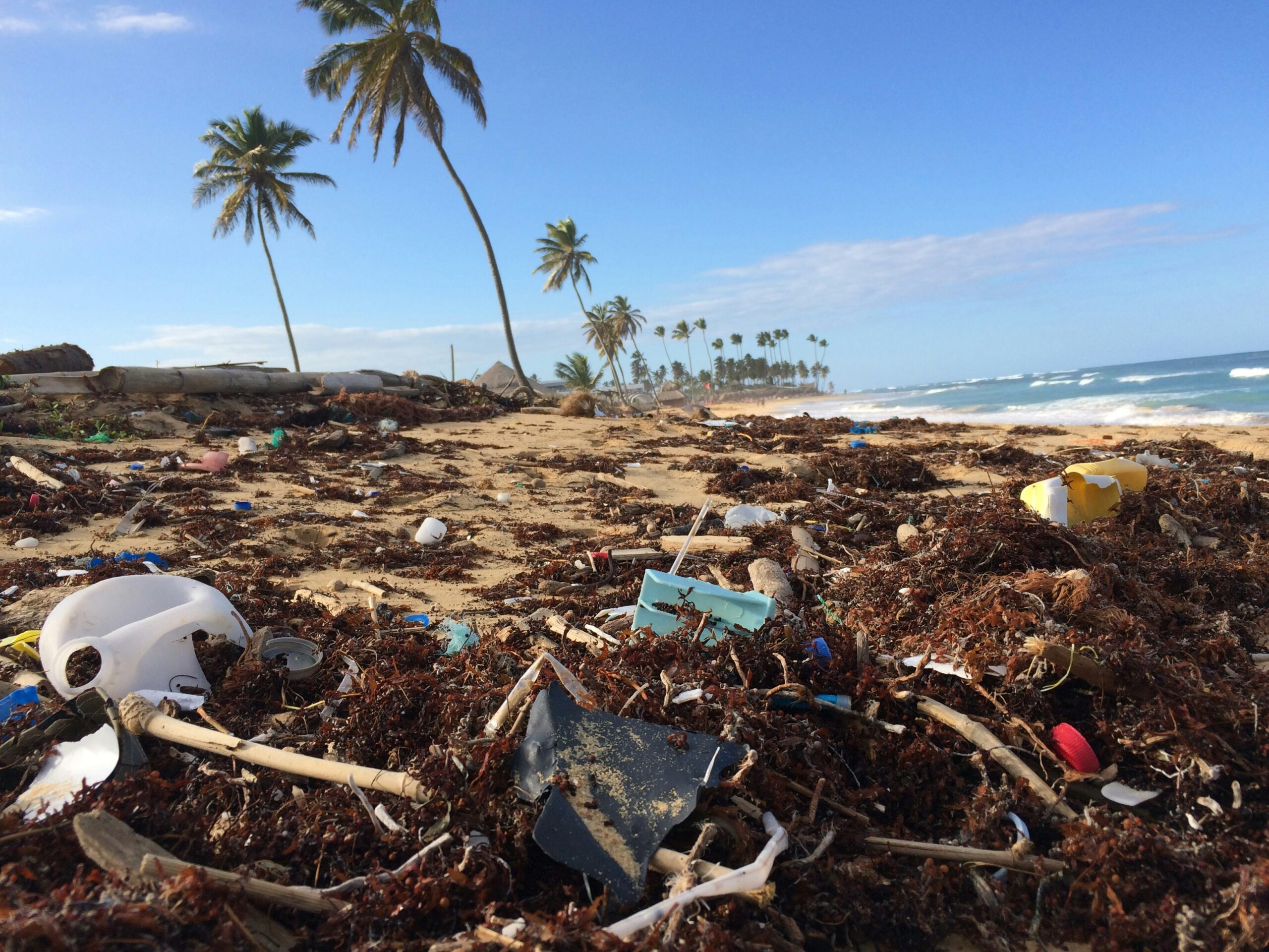 Die Meere sind voller Müll. © Unsplash / Dustan Woodhouse