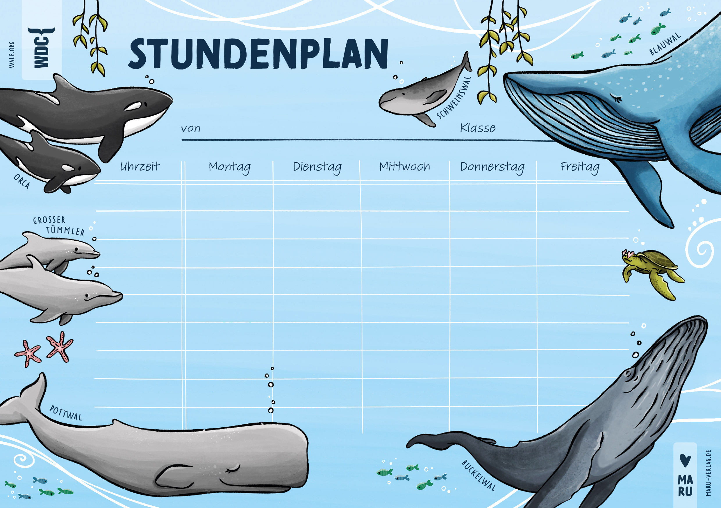 Wal-Stundenplan